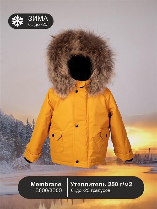 Куртка зимняя мембранная V19 Nord Honey