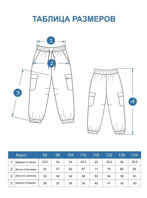 Брюки карго Softshell Gray SSHBRK038 - фото 32606