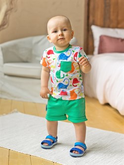 Комплект одежды Sofuto baby Dino