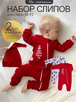 Набор слипов на молнии Sleep&Play Gnoms SS2PSLP057