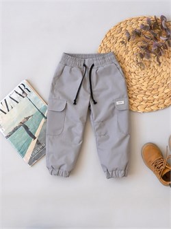 Брюки утепленные мембранные Карго Grey SV18BRK038