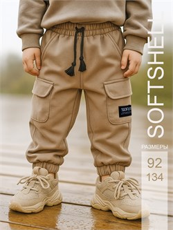 Брюки карго Softshell Beige SSHBRK002