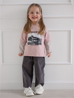 Брюки Velvet Gray SVLVBRK038