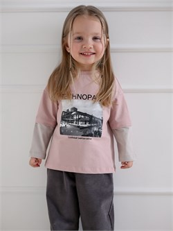 Лонслив  Технопарк пудровый 4966