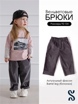 Брюки Velvet Gray SVLVBRK038