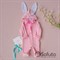 Комплект на выписку демисезонный (6 предметов) Sofuto baby Pink Rabbit S2747