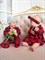 Слип на кнопках Sofuto baby Red check Слип на кнопках Sofuto baby Red check
