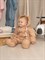Комбинезон демисезонный V14 GBears Buddy S3872 Комбинезон демисезонный V14 GBears Buddy S3872