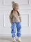 Брюки Softshell Blue sky SSHBRK007
