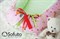 Кокон-гнездышко Sofuto Babynest Likes pink 9815