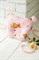 Кокон-гнездышко Sofuto Babynest Likes pink 9815