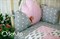 Комплект бортиков Sofuto Babyroom Rose ashes 11493