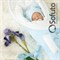 Комплект на выписку холодное лето (6 предметов) Sofuto baby Blue simple S2198 Комплект на выписку холодное лето (6 предметов) Sofuto baby Blue simple S2198