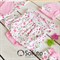 Комплект на выписку жаркое лето (5 предметов) Sofuto baby Flowers S2220