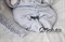 Комплект на выписку демисезонный (7 предметов) Sofuto baby Light grey S2257